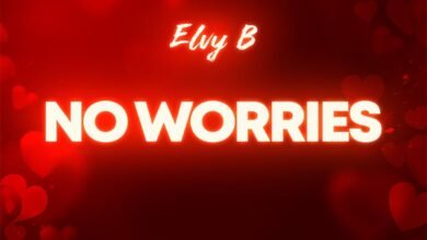 Chart-Topping Debut: Elvy B’s ‘NO WORRIES’ Signals a New Era in Afrobeat