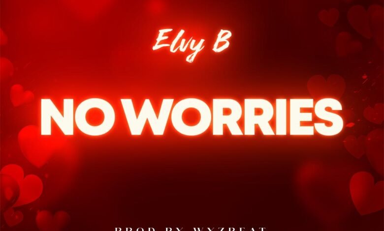 Chart-Topping Debut: Elvy B’s ‘NO WORRIES’ Signals a New Era in Afrobeat