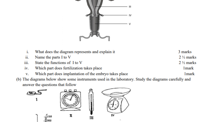 Download Pdf- Full BECE MOCK INTEGRATED SCIENCE with Marking Scheme